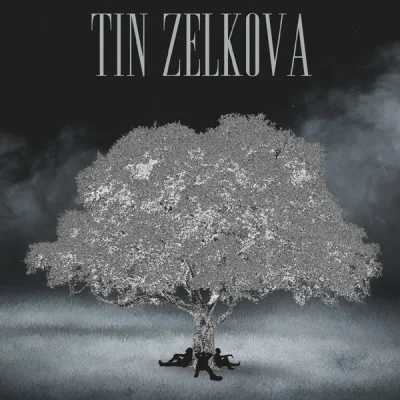 Tin Zelkova - Tin Zelkova (2022)