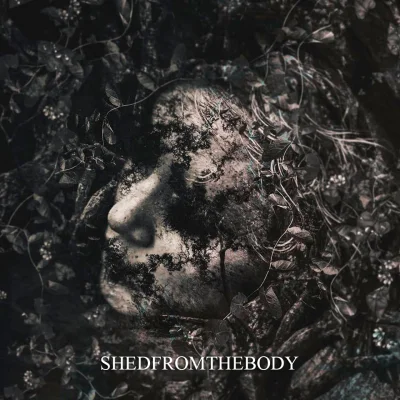 Shedfromthebody - Дискография (2020-2022)