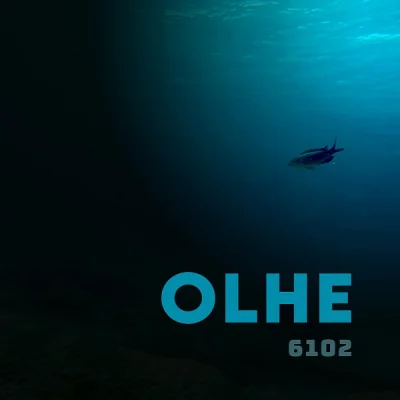 OLHE - 6102 (2022)