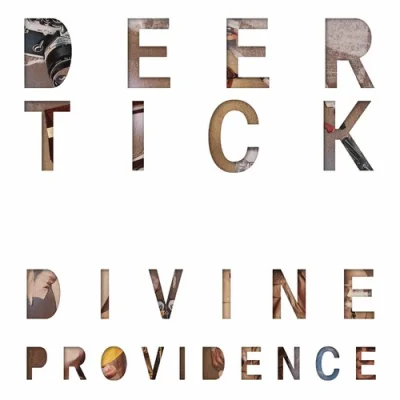 Deer Tick - Divine Providence (2022)