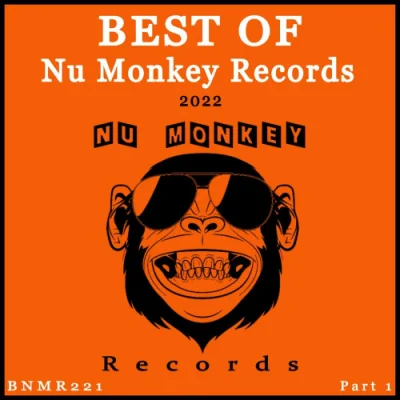 Best Of Nu Monkey Records 2022, Pt. 1 (2022)