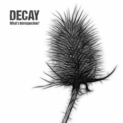 Decay - What's Introspection? (2022)