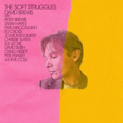 David Brewis - The Soft Struggles (2023)