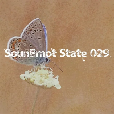 SounEmot State 029 (2023)