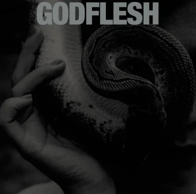 Godflesh - Purge (2023)