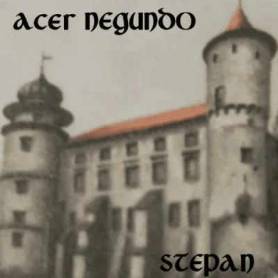 Acer Negundo - Stepan (2023)