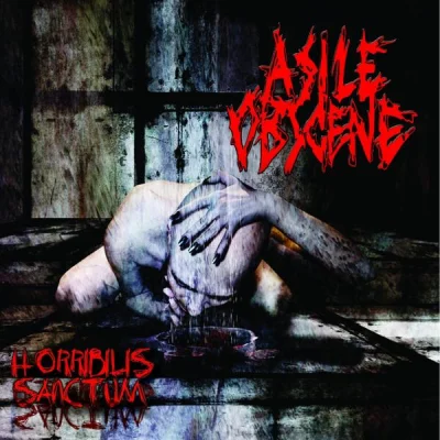 Asile Obscene - Horribilis Sanctum (2023)