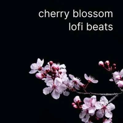 cherry blossom lofi beats (2023)