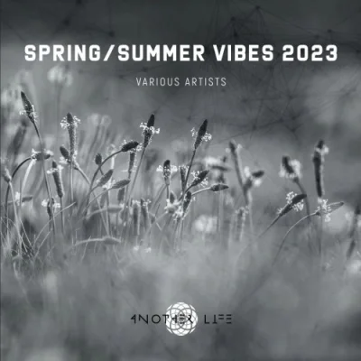 Spring / Summer Vibes 2023 (2023)