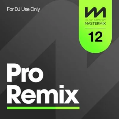 VA - Mastermix Pro Remix 12 (2023) MP3