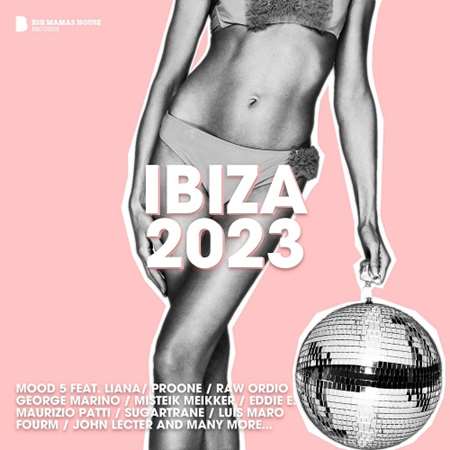 VA - Ibiza (2023) MP3